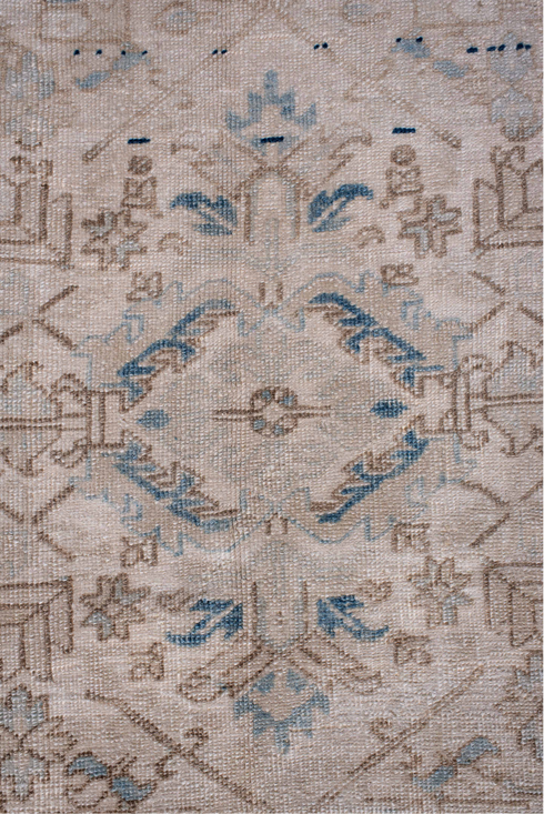 Antique Heriz Area Rug (7' x 10')